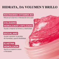 Ingredientes clave del Jelly Cream de Colágeno